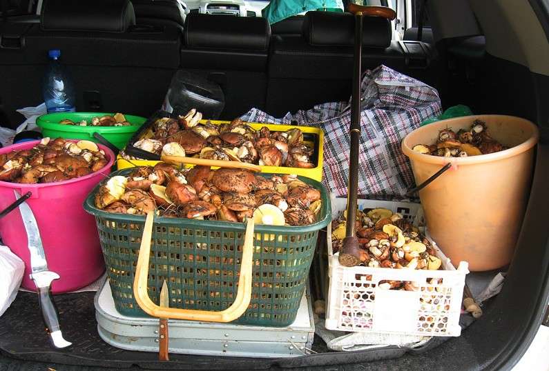 ��� ������� ���������� ! )))) ����� Natali  ��������� �� PhotoGeek.ru #������ ��� ������� #�������� ���������� #����� ��������������