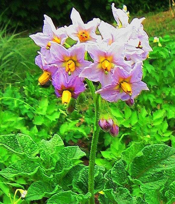 ������������ � ����. �������� �������� ����� Natali  ��������� �� PhotoGeek.ru #������ ��� ������� #����� ��������������