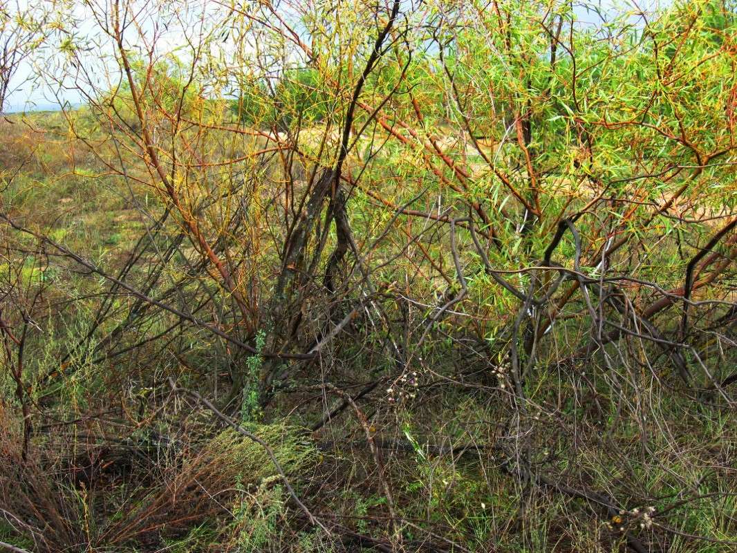 ��� ����� �� ����� ? (2) ����� Natali  ��������� �� PhotoGeek.ru #������ ��� ������� #����� ��������������