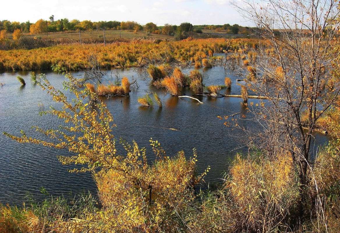 ... ����� Natali  ��������� �� PhotoGeek.ru #������ ��� �������