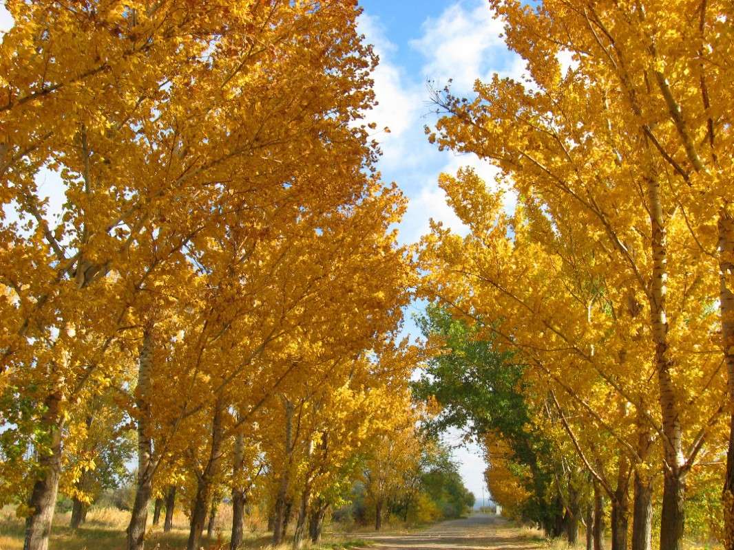 ... ����� Natali  ��������� �� PhotoGeek.ru #������ ��� ������� #����� ��������������