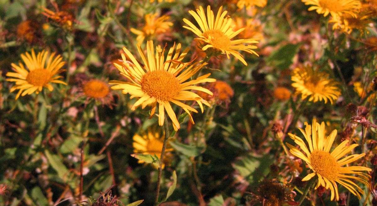 ��������� �������� ����� Natali  ��������� �� PhotoGeek.ru #������ ��� ������� #����� ��������������