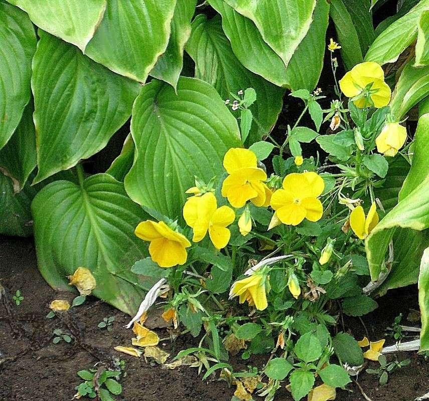 ... ����� Natali  ��������� �� PhotoGeek.ru #������ ��� ������� #����� ��������������