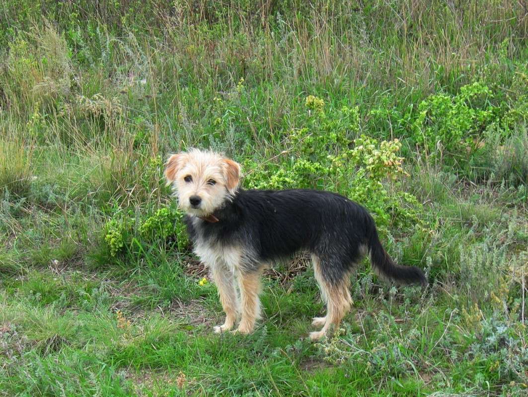 � ���������� �� ����.... ����� Natali  ��������� �� PhotoGeek.ru #�������� ��� #�������� ���