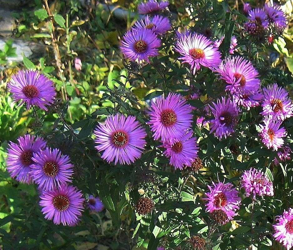 ����������� ����� Natali  ��������� �� PhotoGeek.ru #������ ��� ������� #����� ��������������