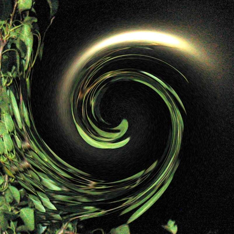 � ����.... ���� � ������... ����� Natali  ��������� �� PhotoGeek.ru #������ ��� ������� #����������