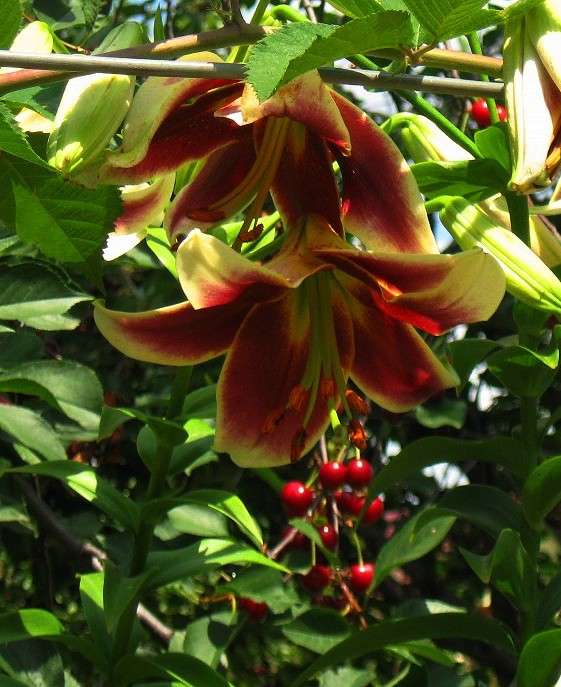 �� ��������� � ���� ����. ����� Natali  ��������� �� PhotoGeek.ru #������ ��� ������� #����� ��������������