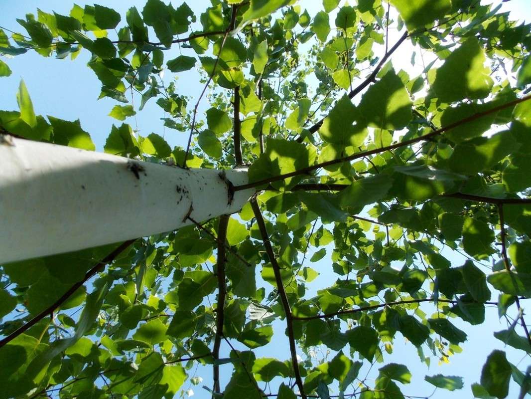 ������ ������������  2 ����� Natali  ��������� �� PhotoGeek.ru #������ ��� ������� #����� ��������������