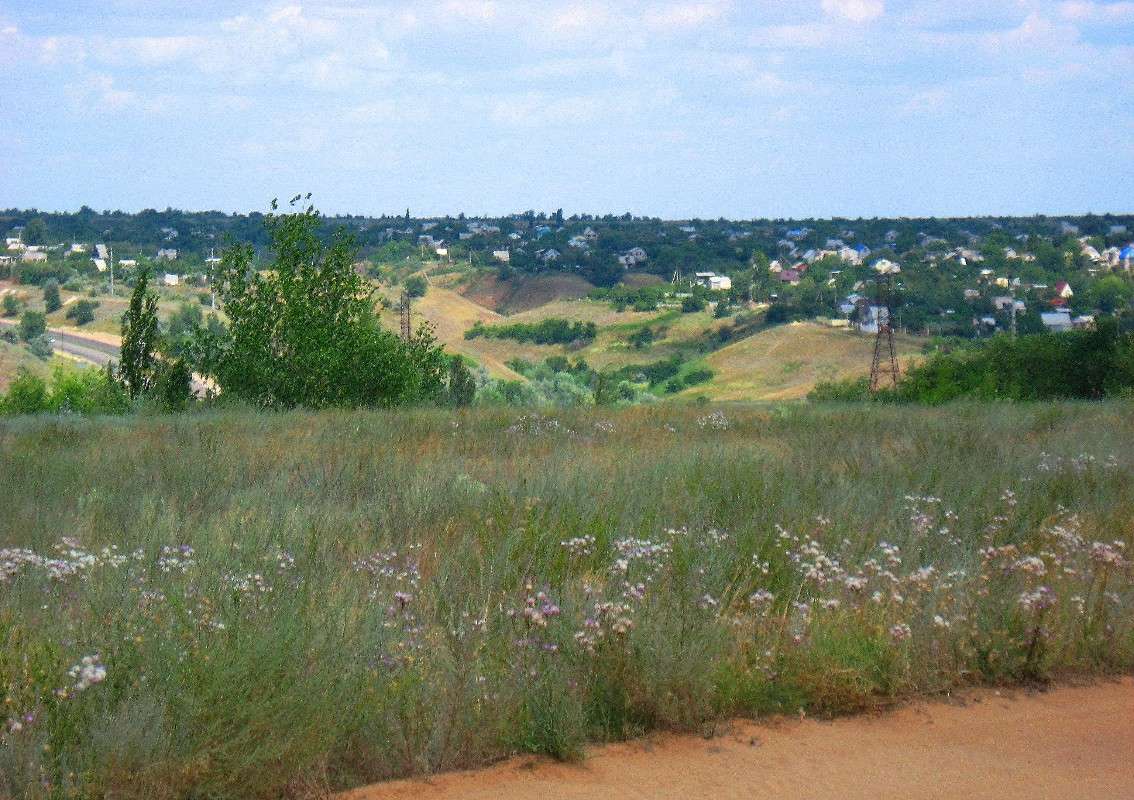 ������ ������������ 3 (��������� � ����) ����� Natali  ��������� �� PhotoGeek.ru #������ ��� ������� #���������