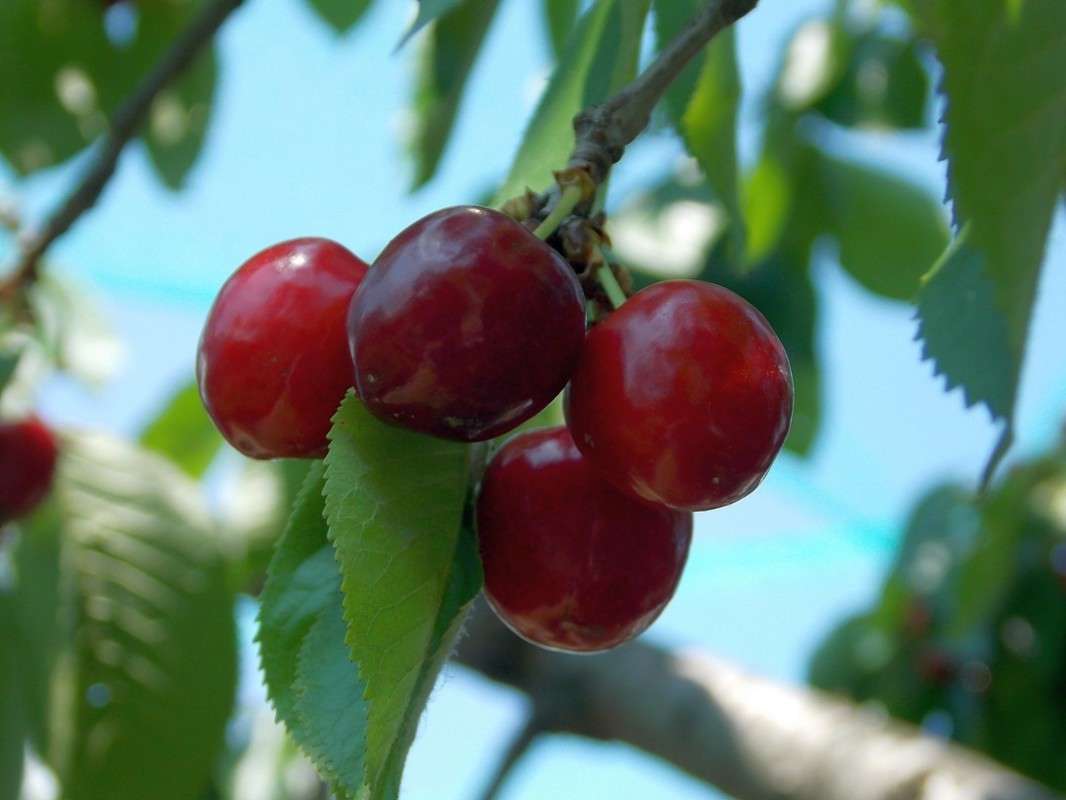 ������ ������������ 1 ����� Natali  ��������� �� PhotoGeek.ru #������ ��� ������� #����� ��������������