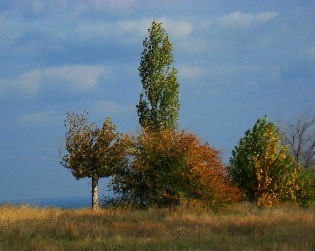 �� ������ ����� Natali  ��������� �� PhotoGeek.ru #������ ��� ������� #����� ��������������