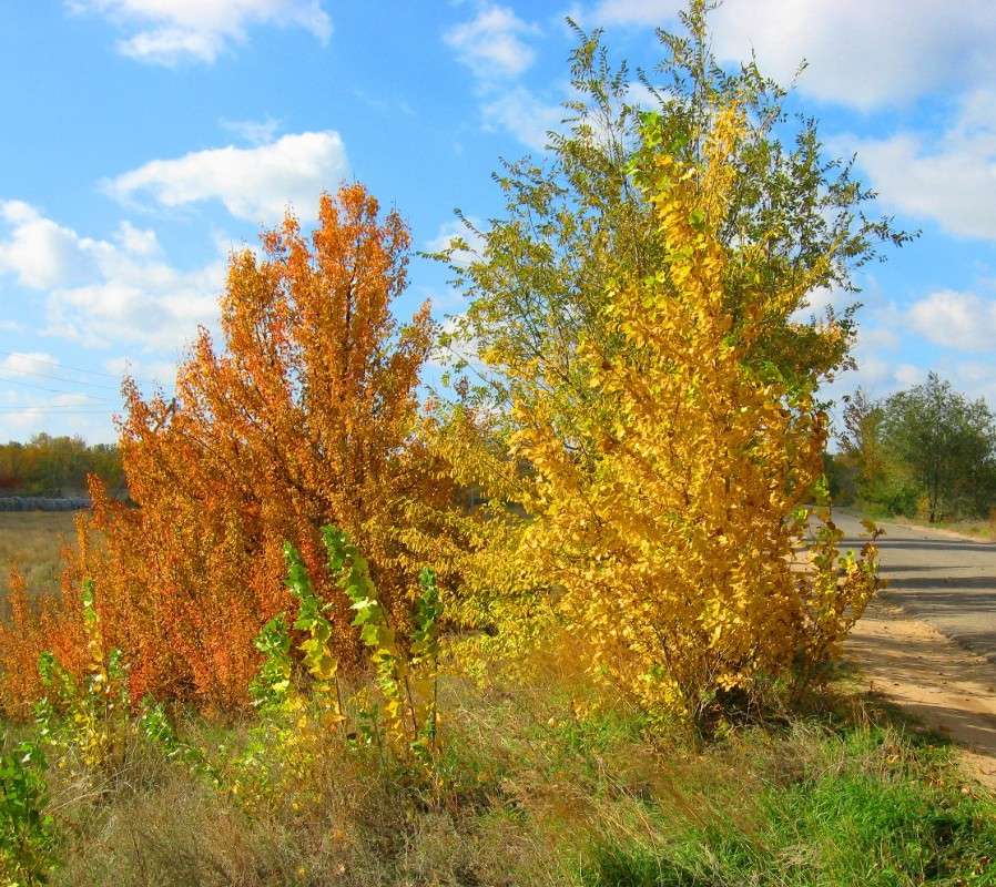 ... ����� Natali  ��������� �� PhotoGeek.ru #������ ��� ������� #����� �������������� #���������