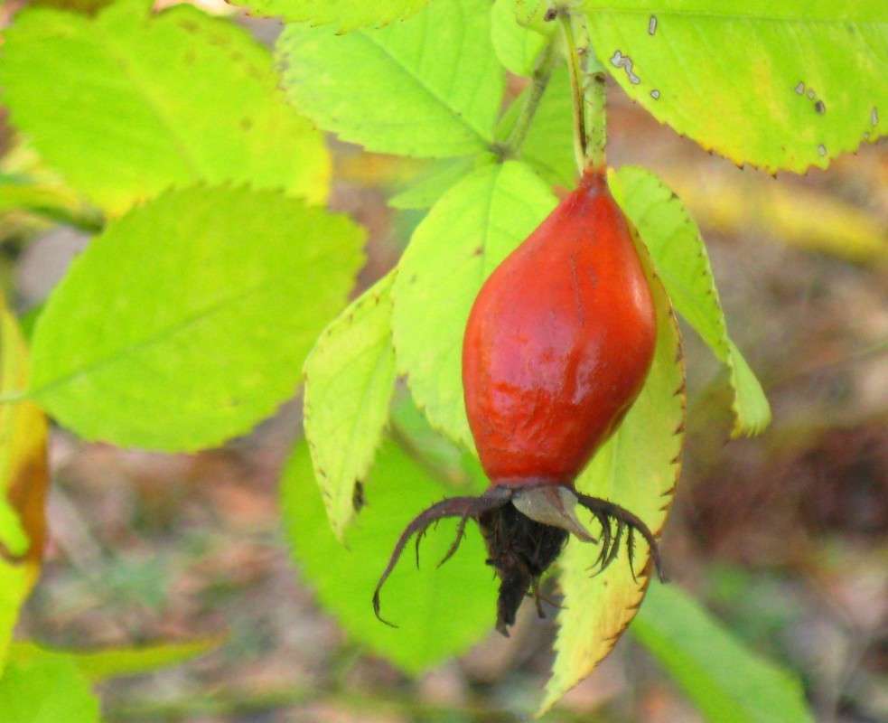 ... ����� Natali  ��������� �� PhotoGeek.ru #����� #������ ��� ������� #����� ��������������