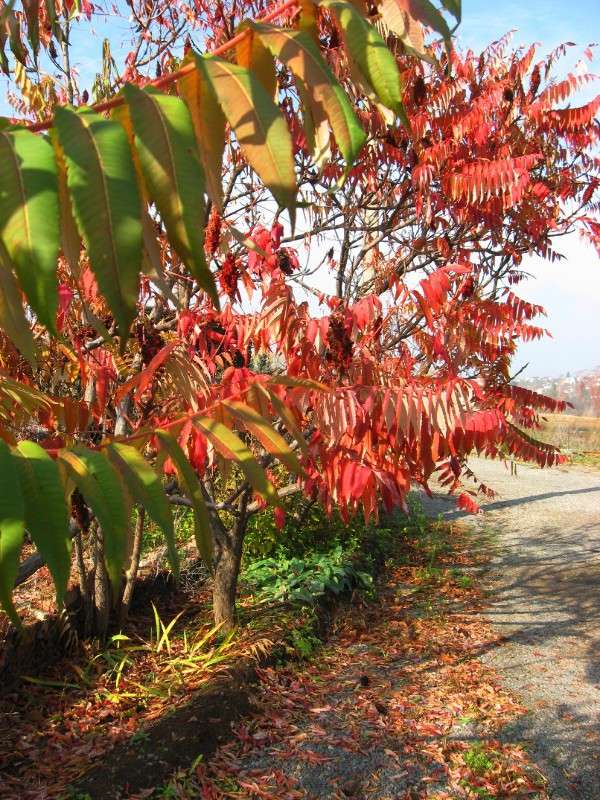 ������� �������. ����� Natali  ��������� �� PhotoGeek.ru #������ ��� ������� #����� ��������������