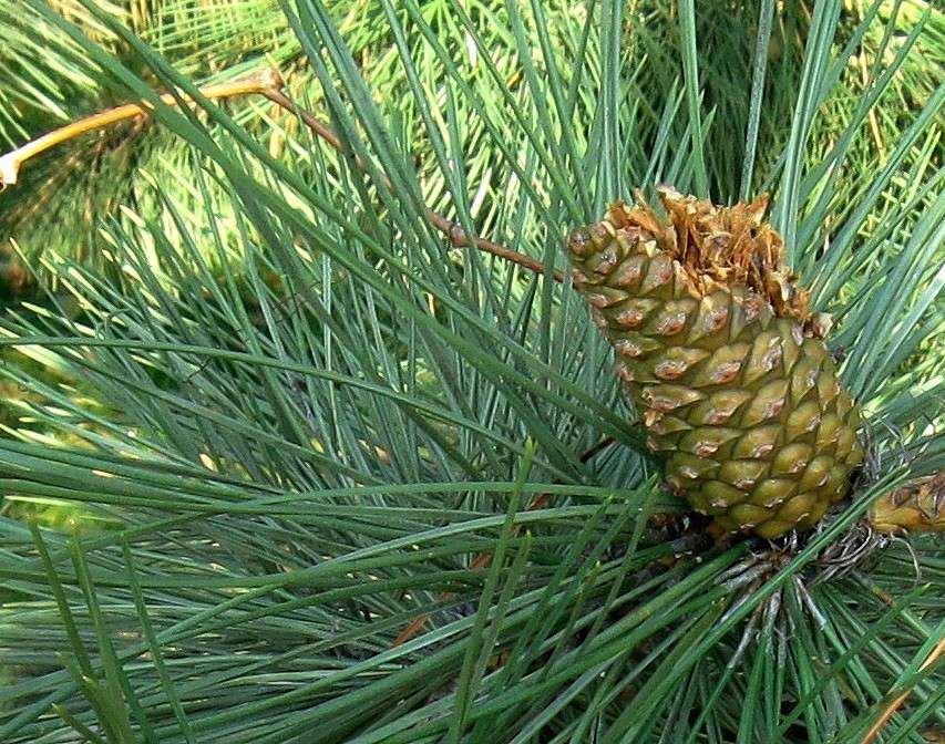 ... ����� Natali  ��������� �� PhotoGeek.ru #����� #������ ��� ������� #����� ��������������