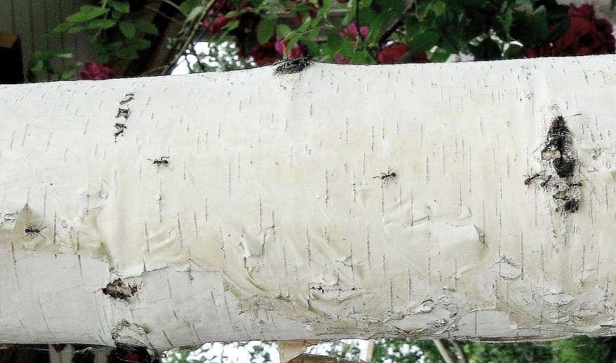 �������� ������ ����� Natali  ��������� �� PhotoGeek.ru #����� #�������� ��� #������ ��� ������� #����� �������������� #���������