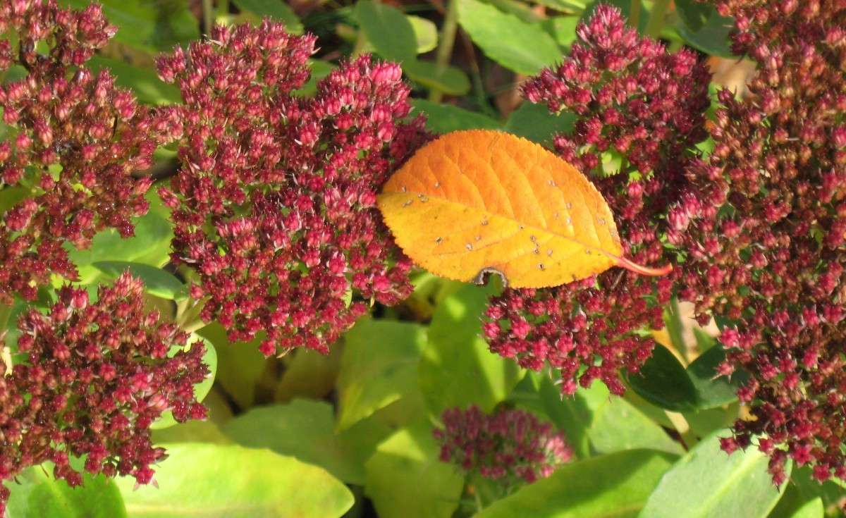 ����� � ������� ! ����� Natali  ��������� �� PhotoGeek.ru #������ ��� ������� #����� ��������������