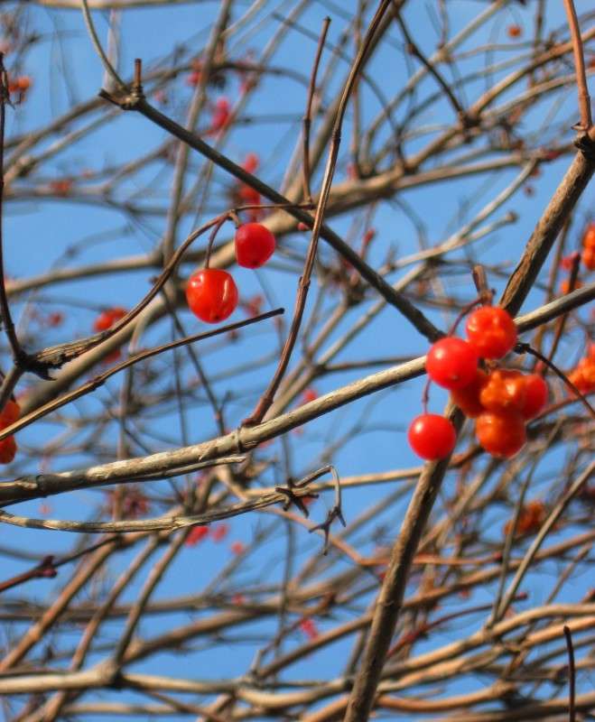 �������� ������� ����� Natali  ��������� �� PhotoGeek.ru #������ ��� ������� #����� ��������������