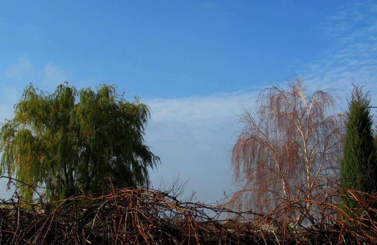 ���� � �������. ����� Natali  ��������� �� PhotoGeek.ru #������ ��� ������� #����� ��������������