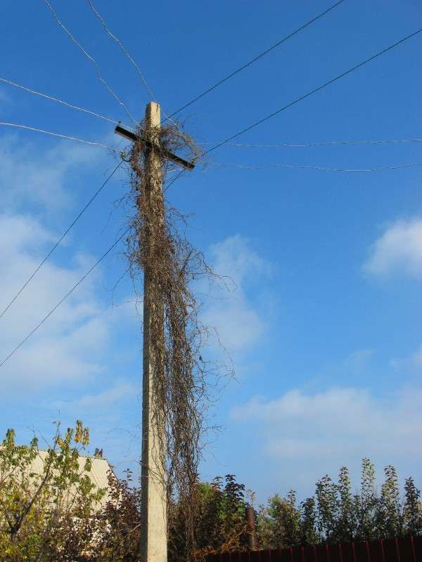 ���� ������ ����� Natali  ��������� �� PhotoGeek.ru #������ ��� ������� #����� ��������������