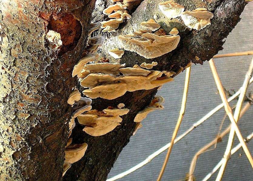 ������� ���. ����� Natali  ��������� �� PhotoGeek.ru #������ ��� ������� #����� �������������� #���������