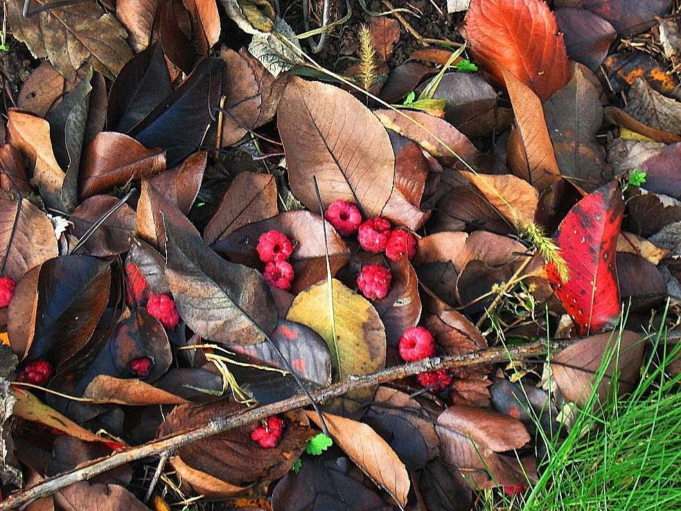 ����� ��������� ����� ..... ����� Natali  ��������� �� PhotoGeek.ru #������ ��� ������� #����� ��������������