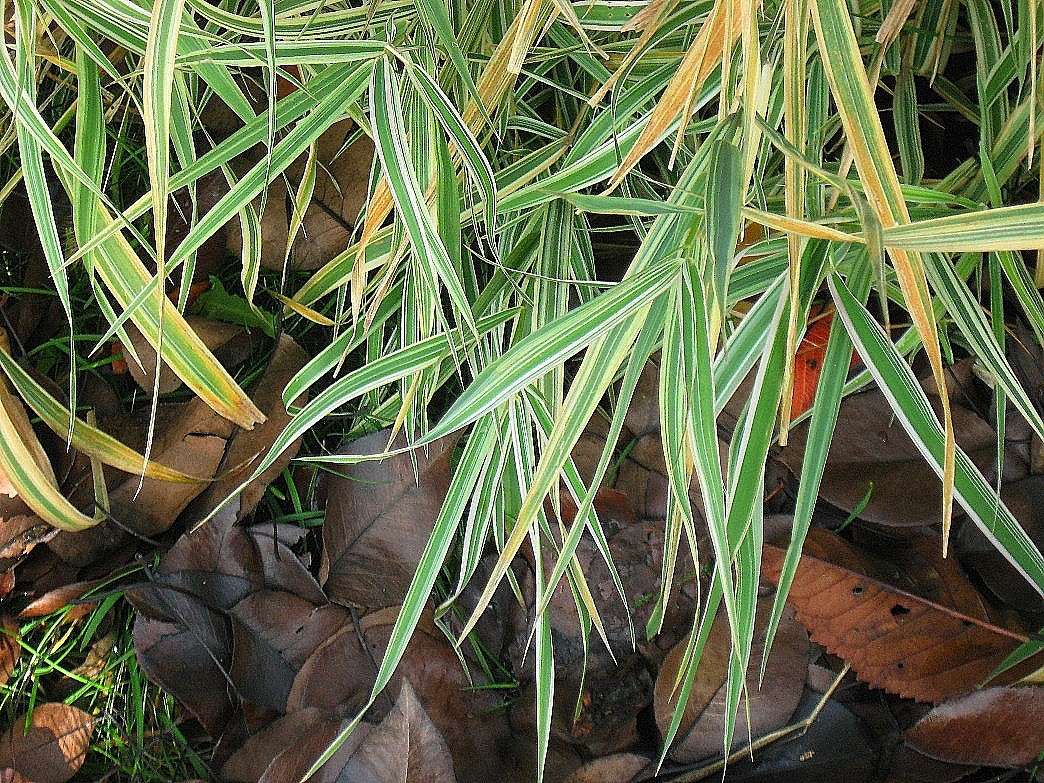 ... ����� Natali  ��������� �� PhotoGeek.ru #������ ��� ������� #����� ��������������