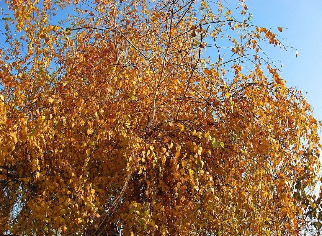 � �������� ������� ����� Natali  ��������� �� PhotoGeek.ru #������ ��� ������� #����� ��������������