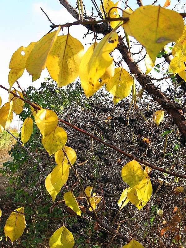 ... ����� Natali  ��������� �� PhotoGeek.ru #������ ��� ������� #����� ��������������