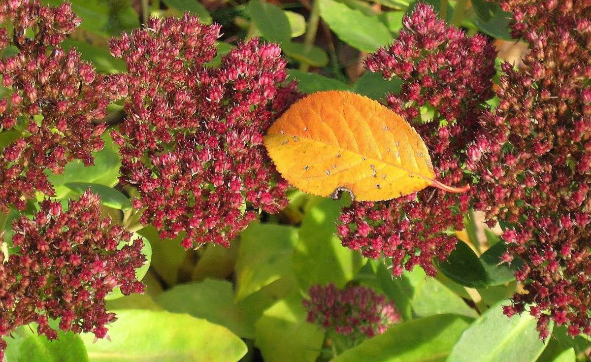 ����� � �������. ����� Natali  ��������� �� PhotoGeek.ru #������ ��� ������� #����� ��������������