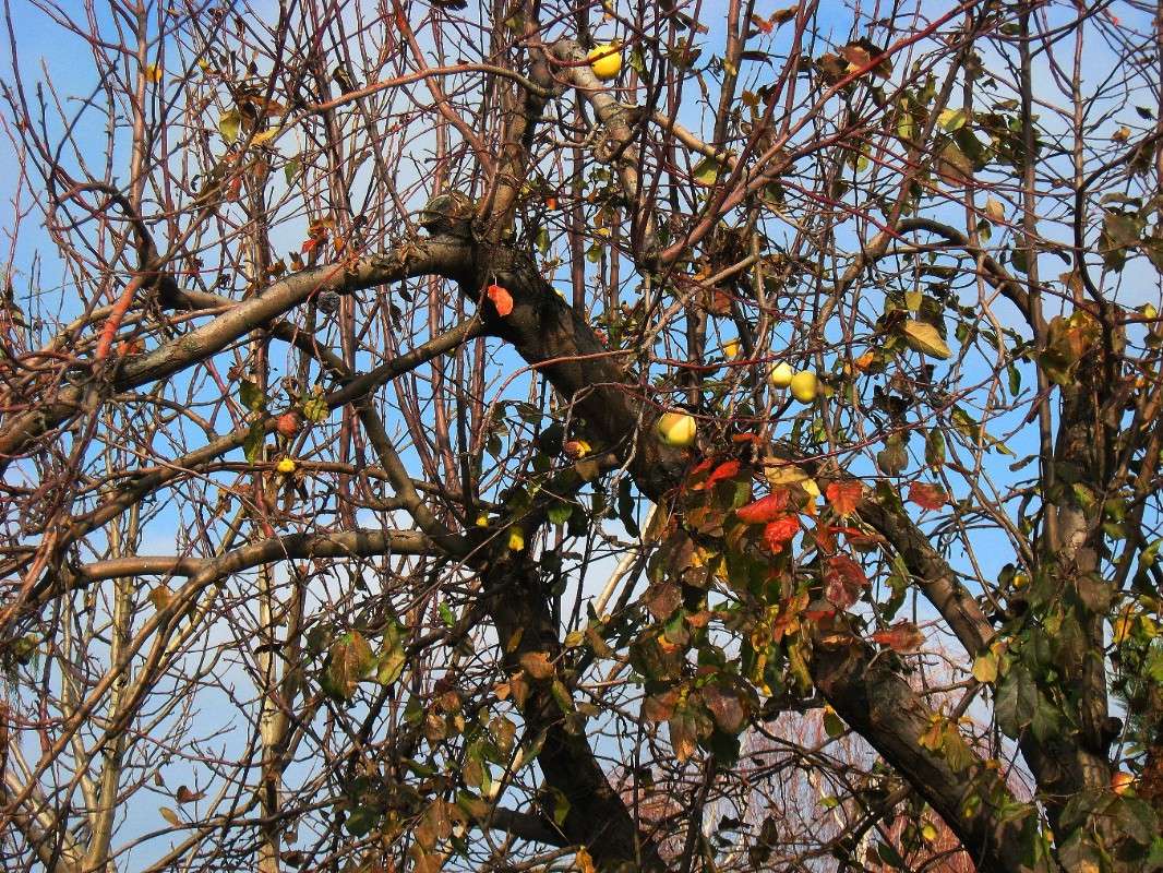 ��������� ������ ����� Natali  ��������� �� PhotoGeek.ru #������ ��� ������� #����� ��������������