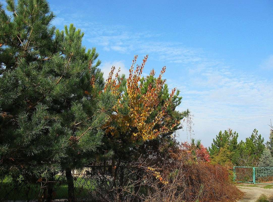 �����, ������ ������ ����� Natali  ��������� �� PhotoGeek.ru #������ ��� ������� #����� �������������� #��������� #����� ��������