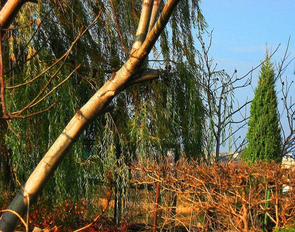 ����� ����� Natali  ��������� �� PhotoGeek.ru #������ ��� ������� #����� �������������� #��������� #����� ��������