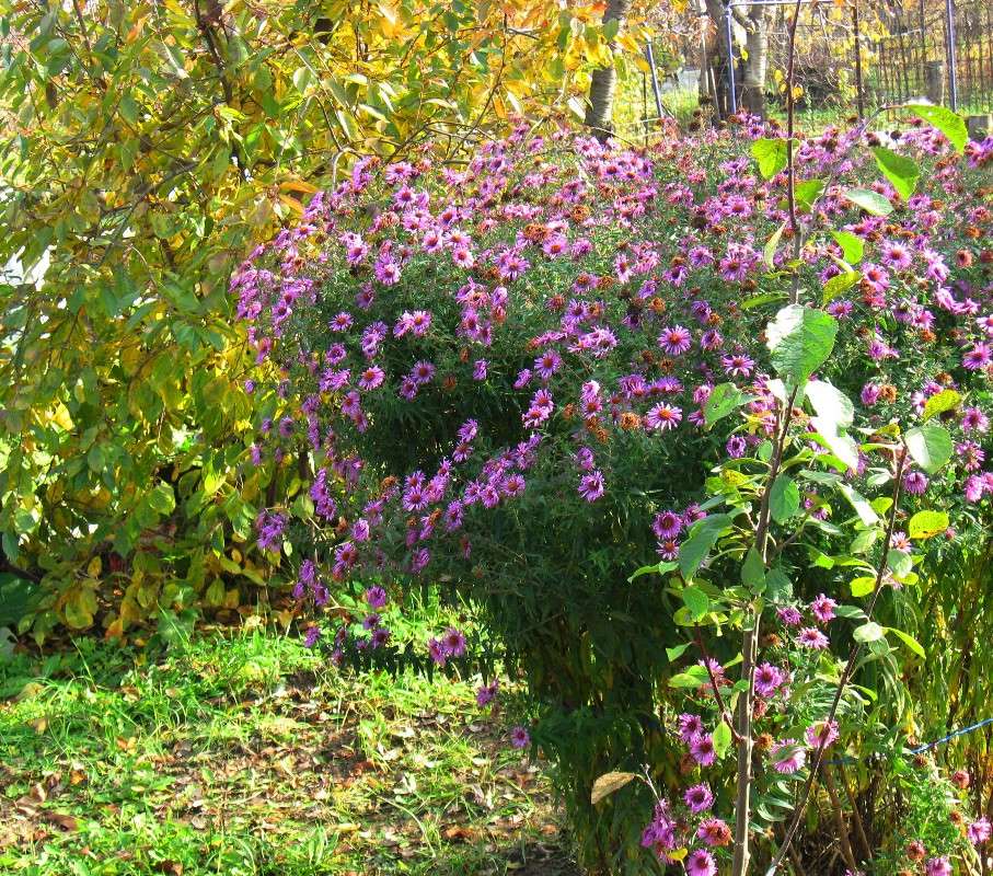 ... ����� Natali  ��������� �� PhotoGeek.ru #������ ��� ������� #����� ��������������