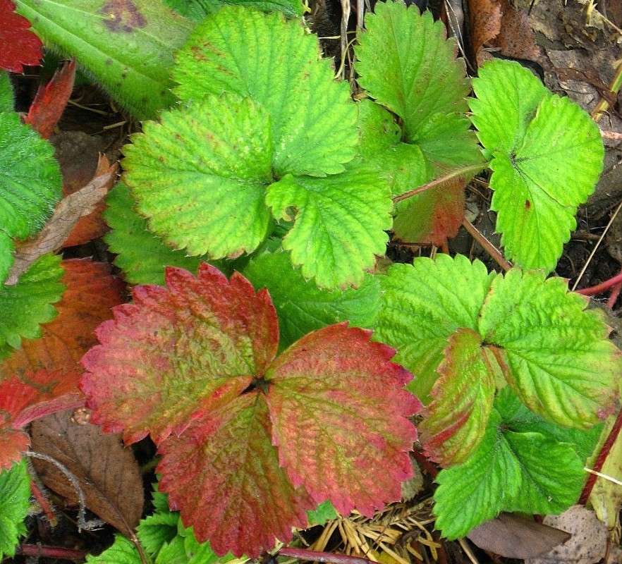 ... ����� Natali  ��������� �� PhotoGeek.ru #������ ��� ������� #����� �������������� #���������