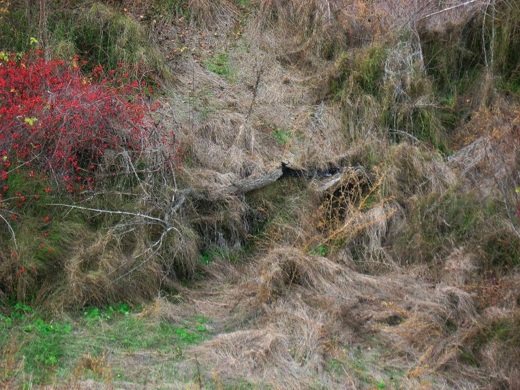 ���������� ������� ����� Natali  ��������� �� PhotoGeek.ru #������ ��� ������� #����� �������������� #����� ��������