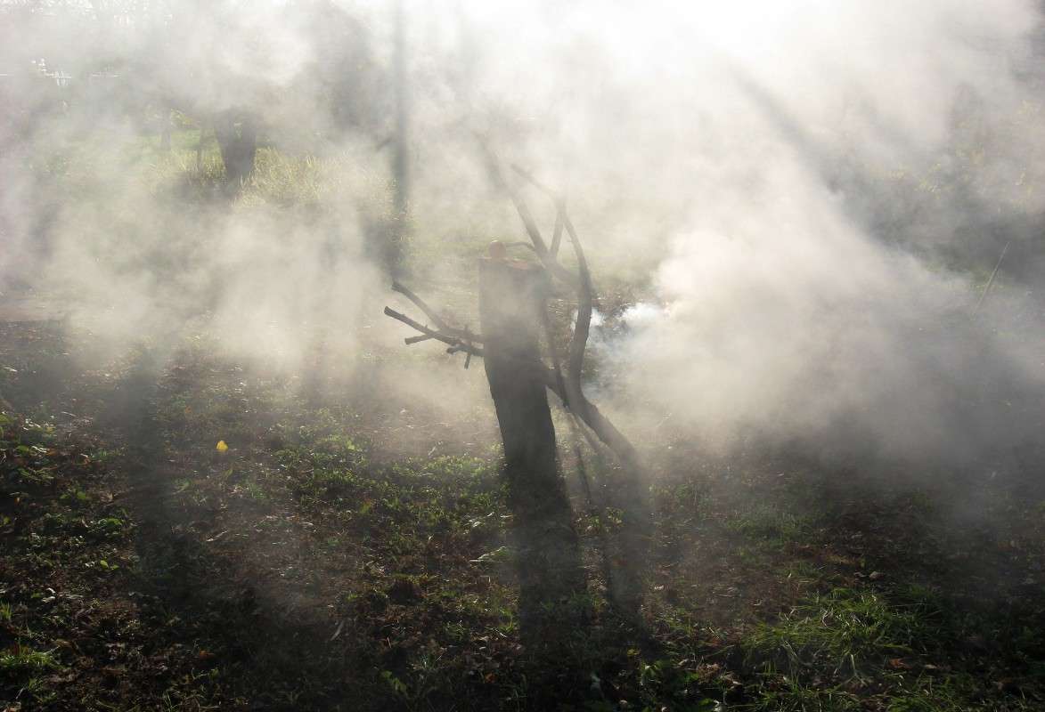 � ��������� ���� ����� Natali  ��������� �� PhotoGeek.ru #������ ��� ������� #����� ��������������