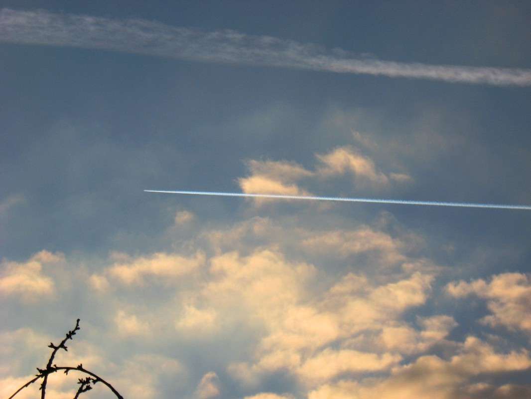 ��� ������ ����� ��, - �� ��� � ����! ����� Natali  ��������� �� PhotoGeek.ru #������ ��� ������� #�������� ���������� #��������� #��������������� #����� ��������