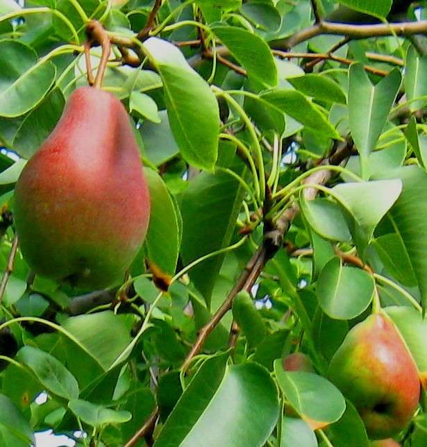 ... ����� Natali  ��������� �� PhotoGeek.ru #������ ��� ������� #����� ��������������