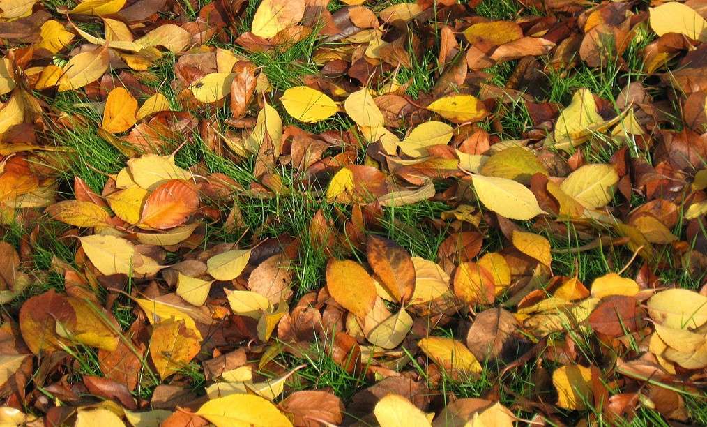 ... ����� Natali  ��������� �� PhotoGeek.ru #������ ��� ������� #����� ��������������