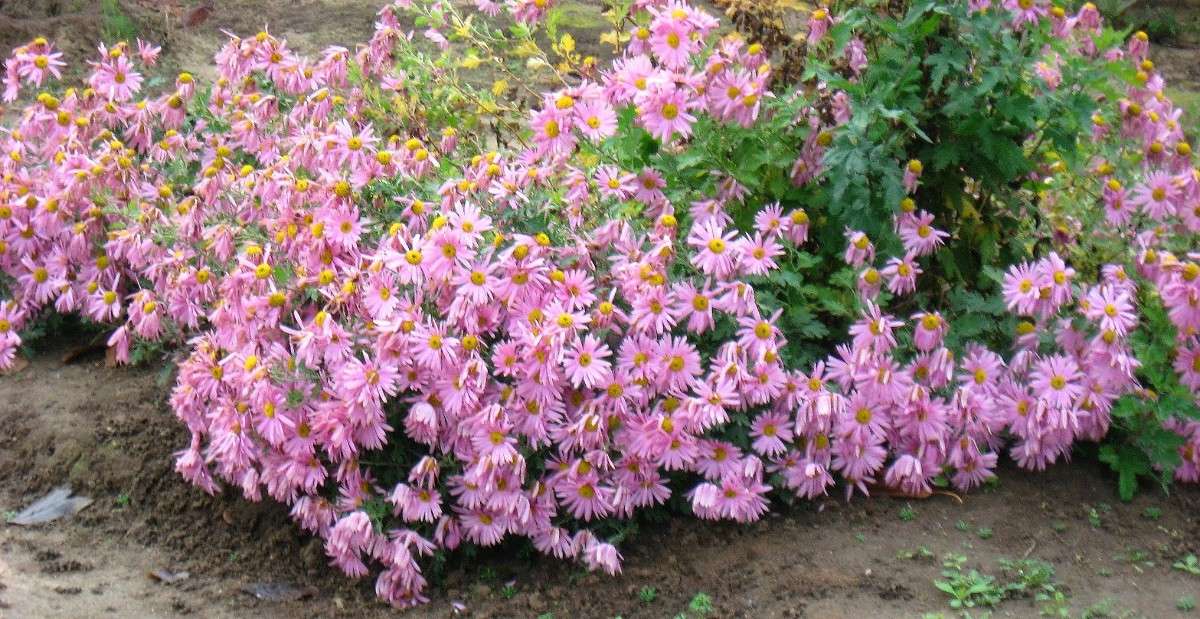 ... ����� Natali  ��������� �� PhotoGeek.ru #������ ��� ������� #����� ��������������