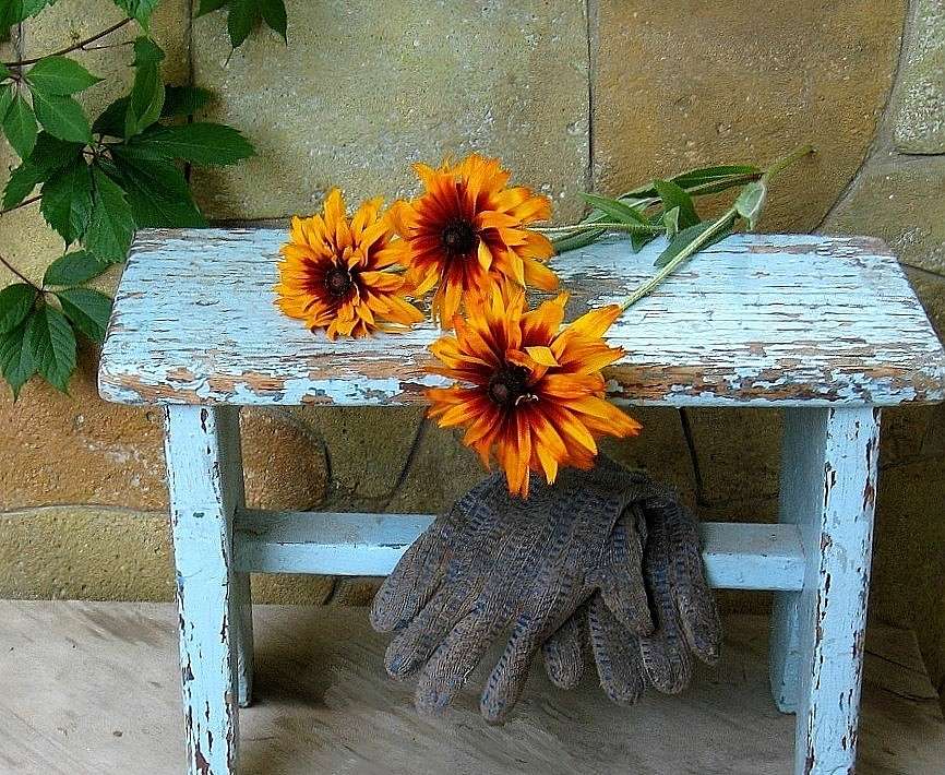 ... ����� Natali  ��������� �� PhotoGeek.ru #������ ��� ������� #����� ��������������