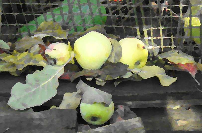 ����������, �� �������... )) ����� Natali  ��������� �� PhotoGeek.ru #������ ��� ������� #����� �������������� #���������