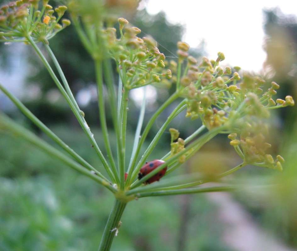 ... ����� Natali  ��������� �� PhotoGeek.ru #����� #�������� ��� #������ ��� ������� #����� �������������� #���������