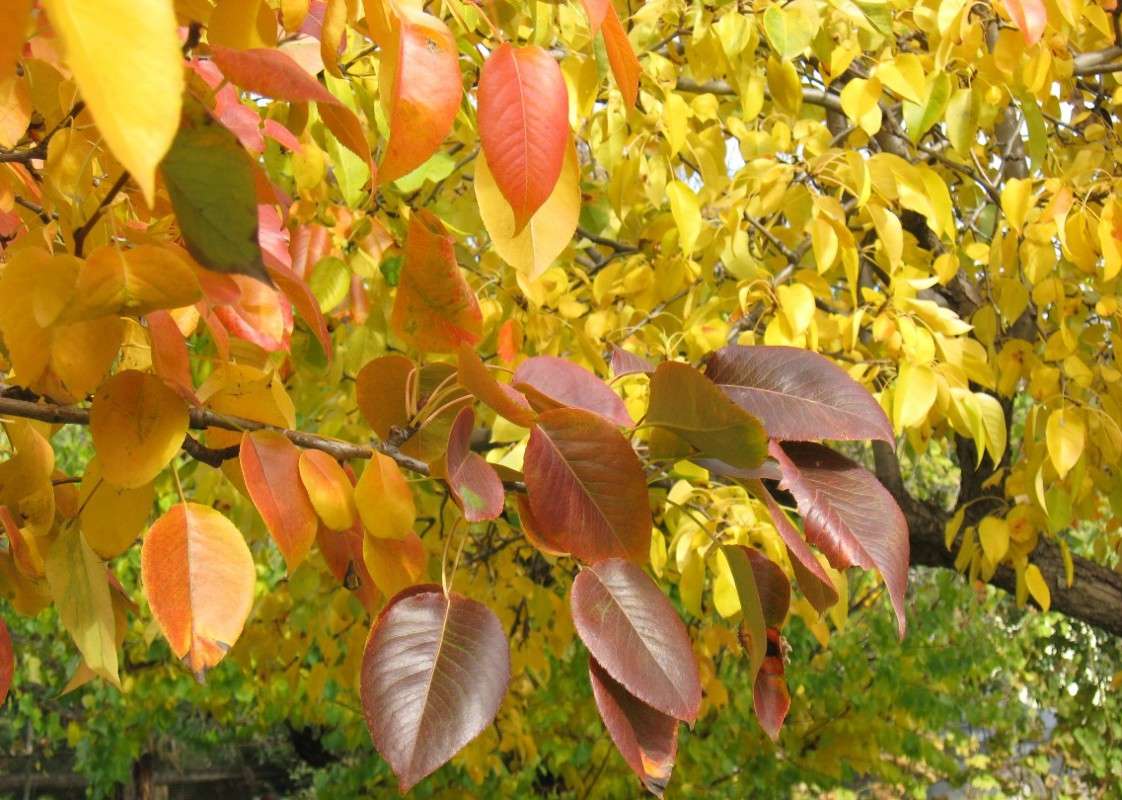 ... ����� Natali  ��������� �� PhotoGeek.ru #������ ��� ������� #����� ��������������