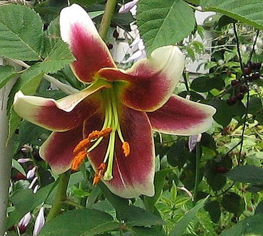 ... ����� Natali  ��������� �� PhotoGeek.ru #������ ��� ������� #����� ��������������