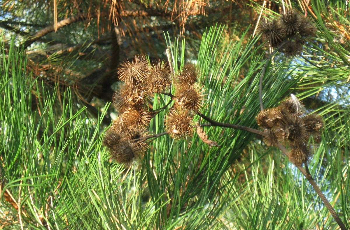 ������ ����� Natali  ��������� �� PhotoGeek.ru #������ ��� ������� #����� ��������������