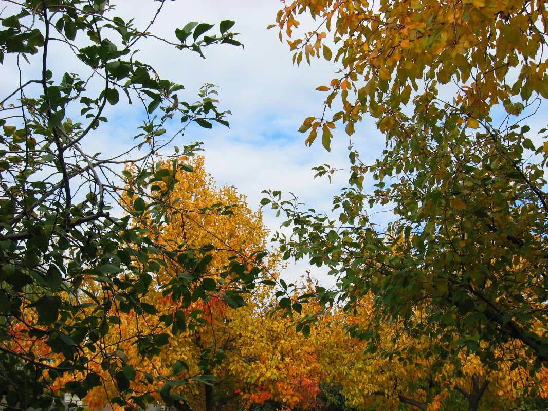 ������� ���. ����� Natali  ��������� �� PhotoGeek.ru #������ ��� ������� #����� ��������������