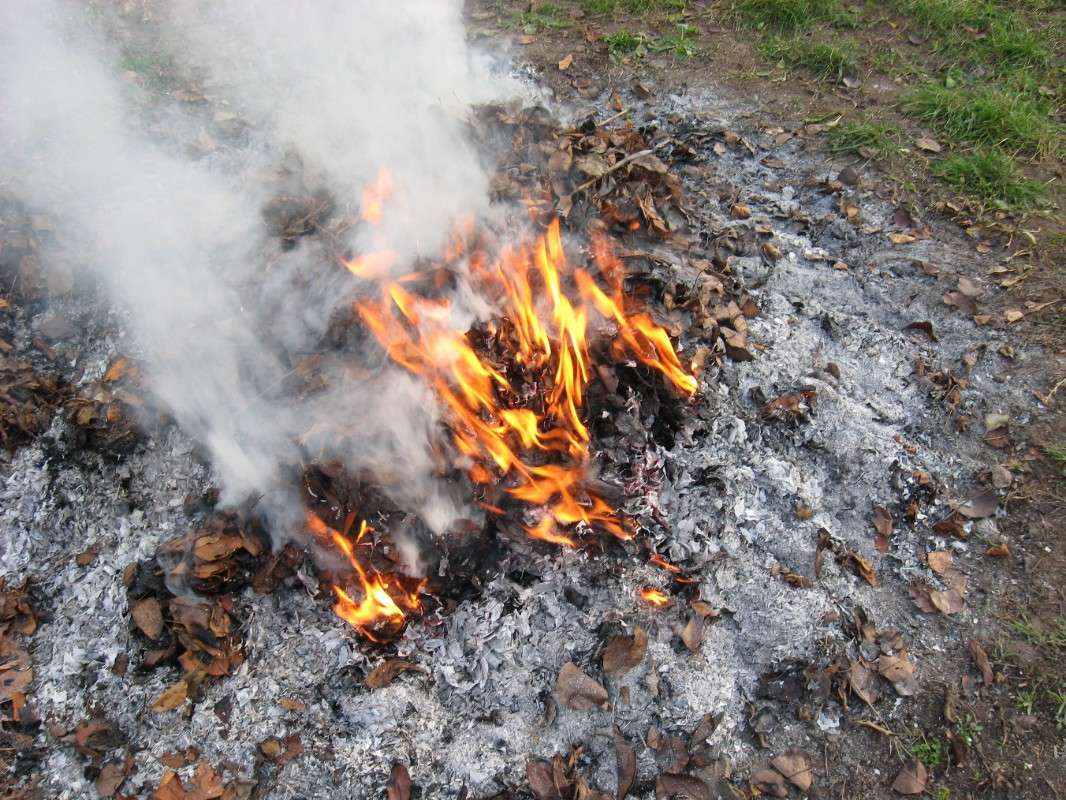 ����� ������ ������ ����� �� ��� ������, ........ ����� Natali  ��������� �� PhotoGeek.ru #������ ��� ������� #��������� #����� ��������