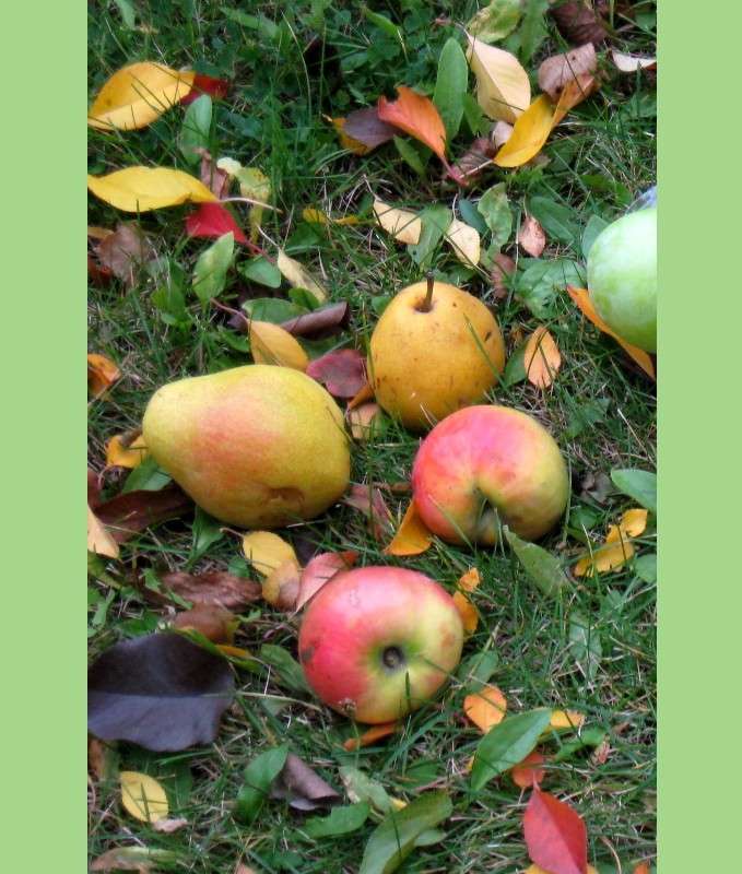 ... ����� Natali  ��������� �� PhotoGeek.ru #������ ��� ������� #����� �������������� #���������